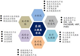 東軟集團(tuán) 深耕醫(yī)療信息化，軟件與系統(tǒng)集成構(gòu)筑核心支柱